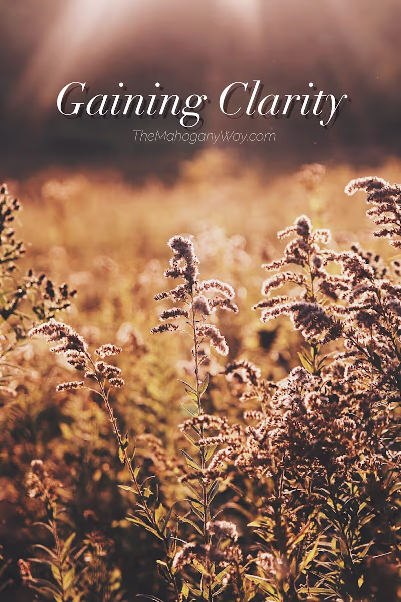 Cover image for Gaining Clarity — The Mahogany Way
