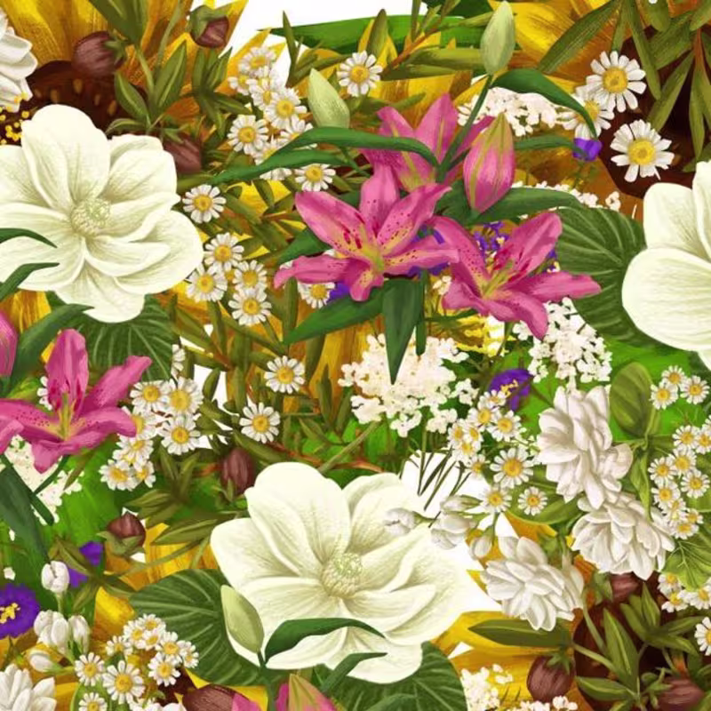 Cover image for H U E S on Instagram: ”“Blossoming Beauty: A Symphony of Petals…