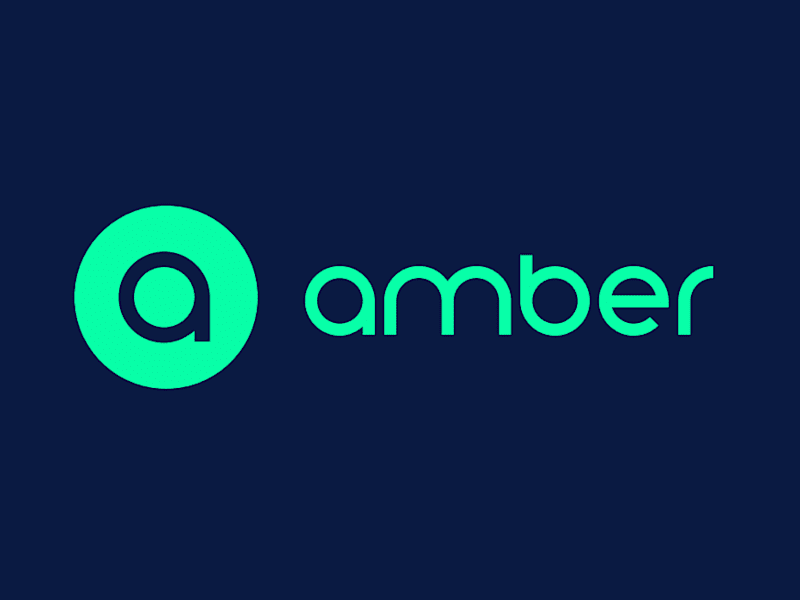 Cover image for Amber Electric. DTC Social Campaigns