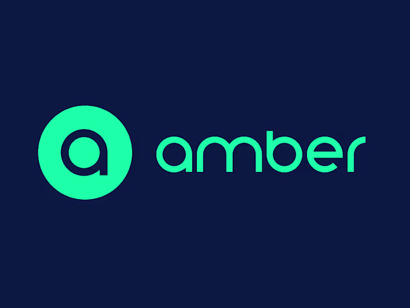 Cover image for Amber Electric. DTC Social Campaigns