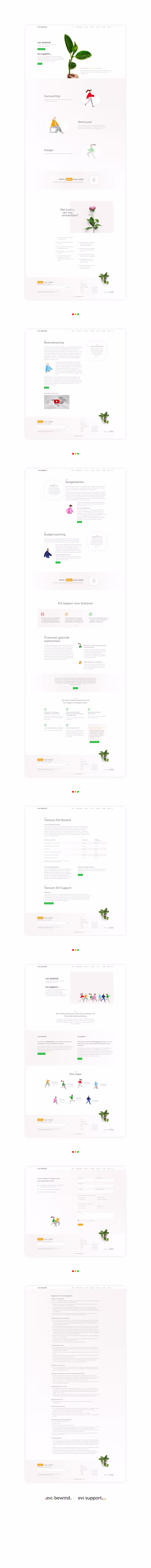 Cover image for EVI Bewind en financieel support