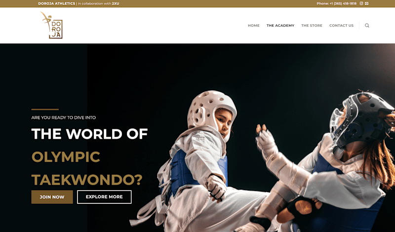 Cover image for Rebrand for a Martial Arts Academy