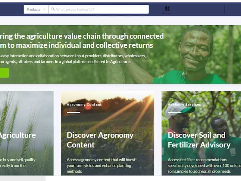 Cover image for Developed a web and mobile application MVP to Rollout 