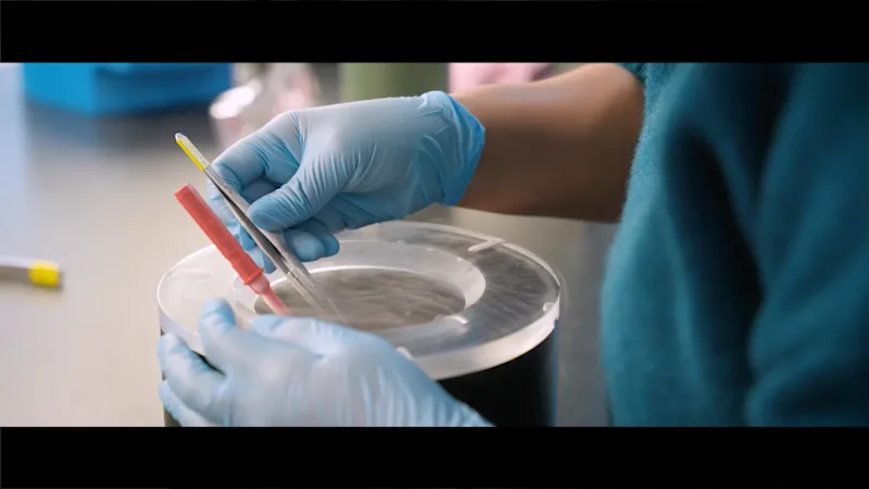 Cover image for Thermo Fisher Scientific Campaign