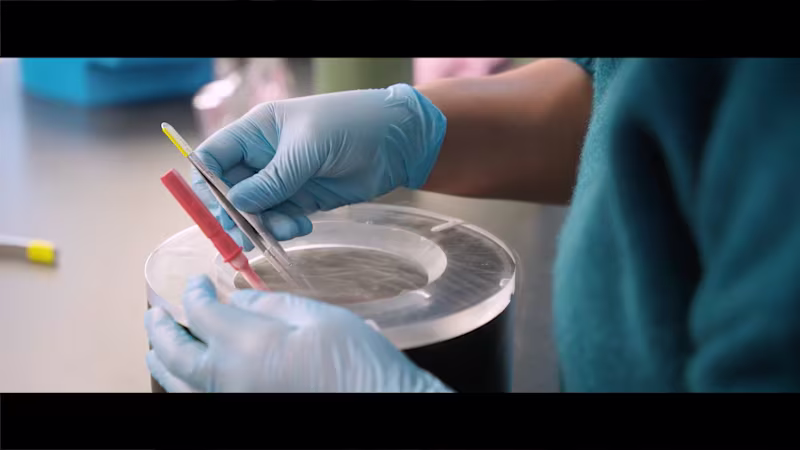 Cover image for Thermo Fisher Scientific Campaign