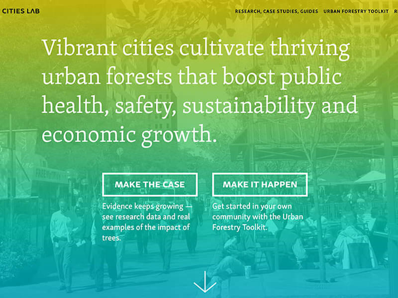 Cover image for Web Design & Development for an urban forestry advocacy hub