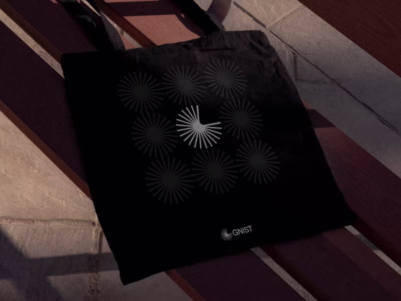 Cover image for Gnist Brand Identity & Website