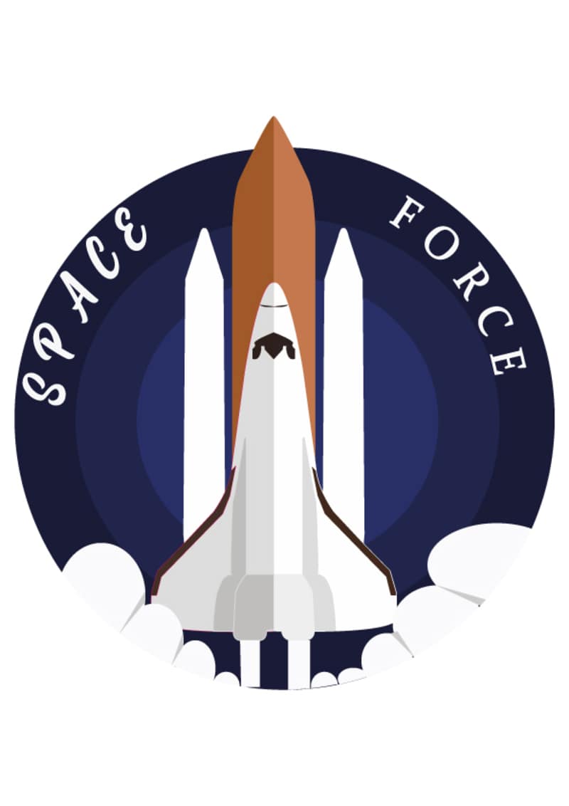 Cover image for SPACE FORCE LOGO