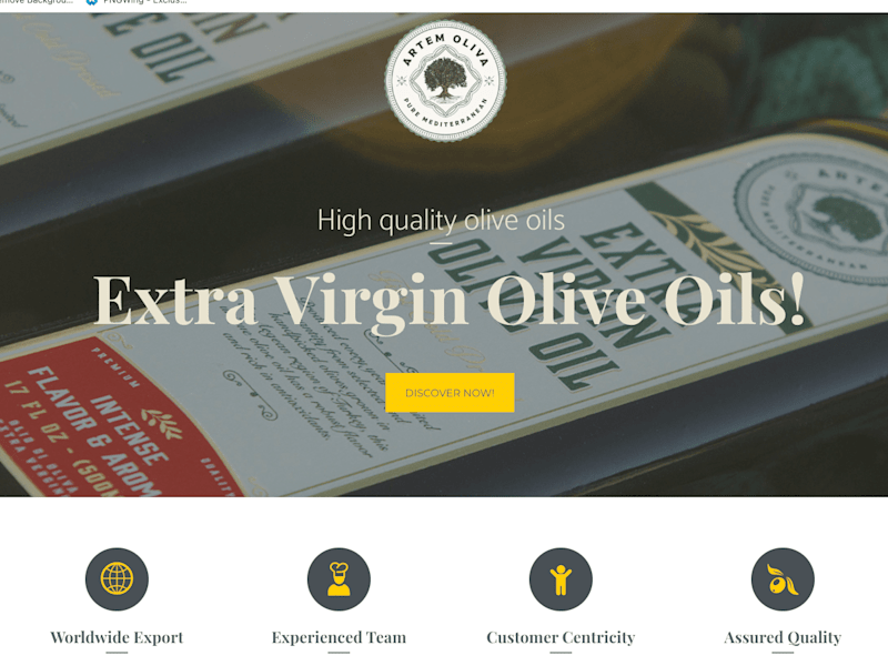 Cover image for Artem Oliva Website