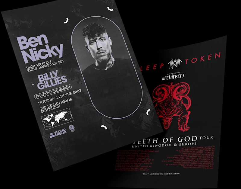 Cover image for Flyers