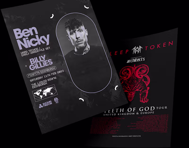 Cover image for Flyers