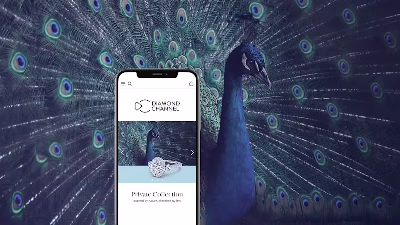 Cover image for Online Snapshot