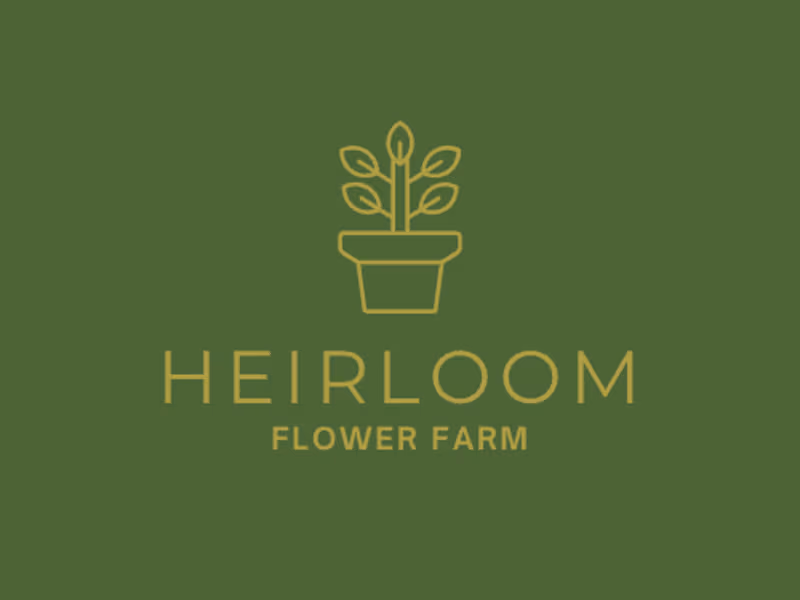 Cover image for Want to LOVE your LOGO?! Look no further.