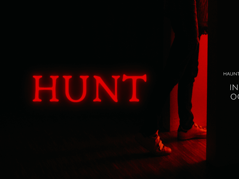 Cover image for The Hunt