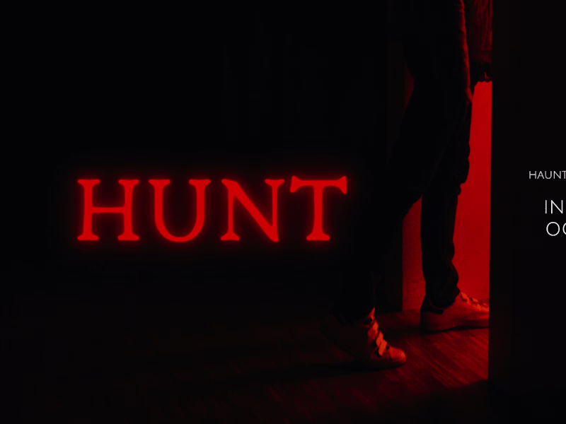 Cover image for The Hunt
