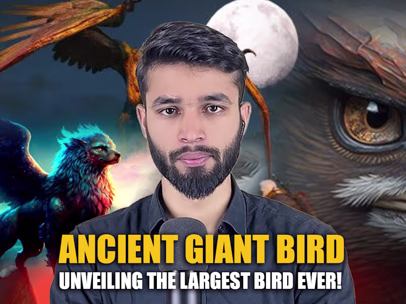 Cover image for Graphic Designing