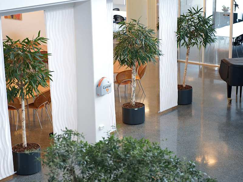 Cover image for Case: Cardia Nordic | IT Instituttet