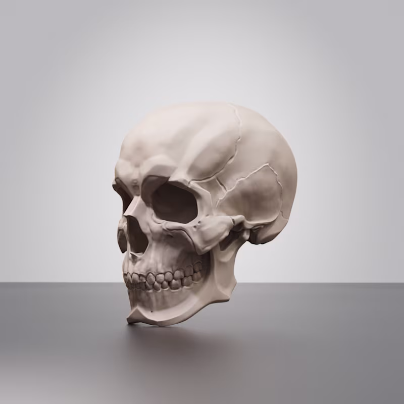 Cover image for Skull ecorshe :trainings