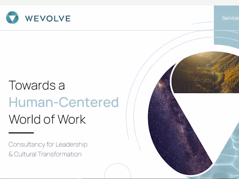 Cover image for wevolve - Consultancy company