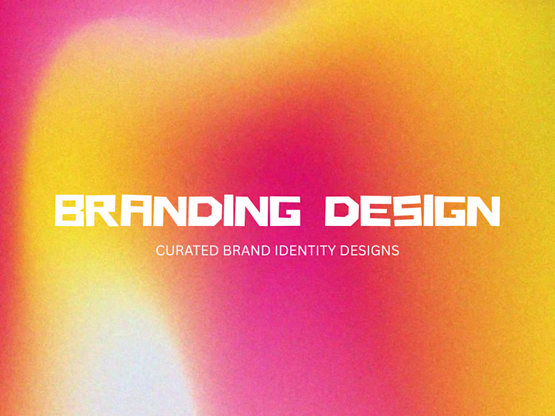Cover image for Brand Identity & Visual Direction