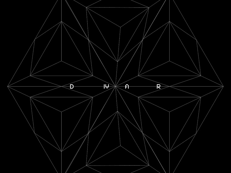 Cover image for DIYAR Brand Design
