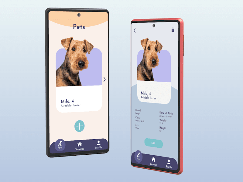 Cover image for MiMi | Flutter Project