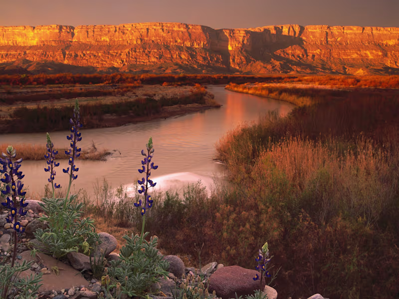 Cover image for Client Centric Problem Solver that Executes