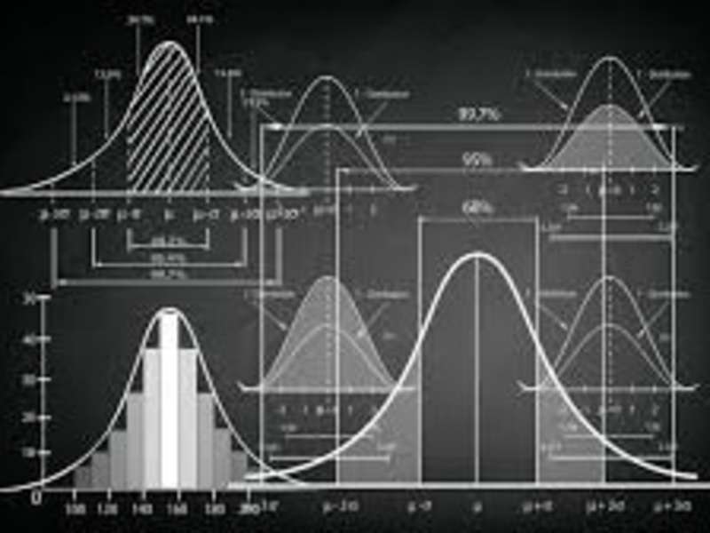 Cover image for Professional Statistics Tutor and Assignment Helper