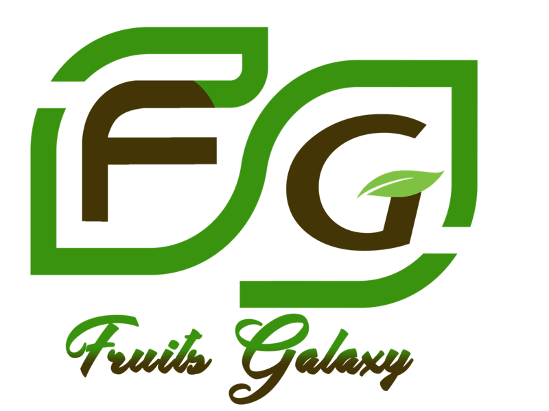 Cover image for Website Creation