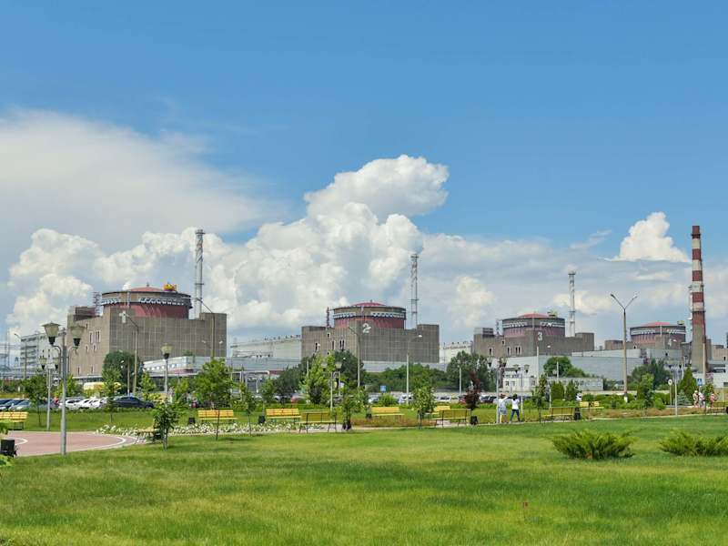 Cover image for Insight articles for BBC