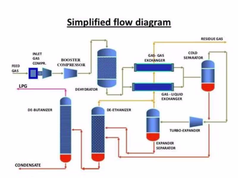Cover image for Not every plant needs AI