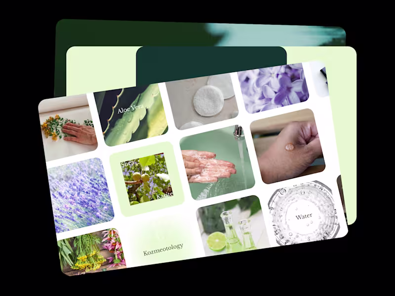 Cover image for Building Brand Presence on Social