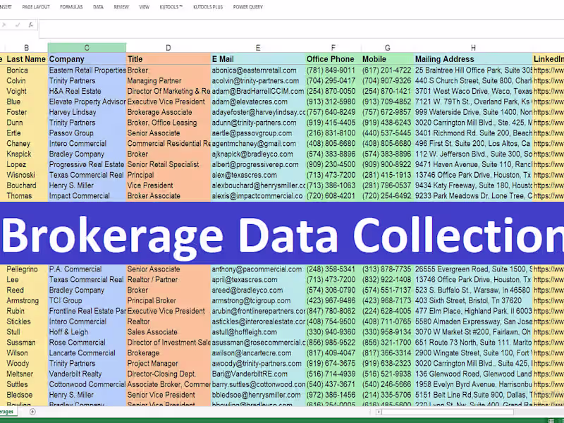 Cover image for Data Entry