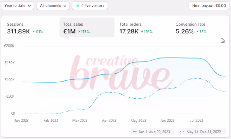 Cover image for How we helped a cosmetic brand reach 
1 million euros in revenue