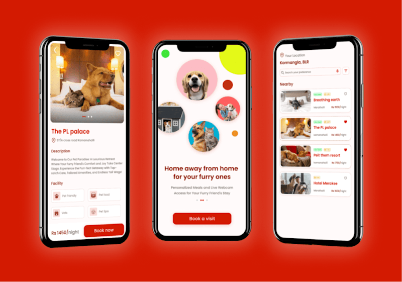 Cover image for User Research and Mobile App Design