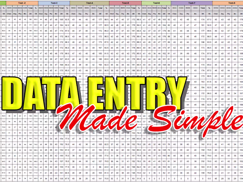 Cover image for Data Entry