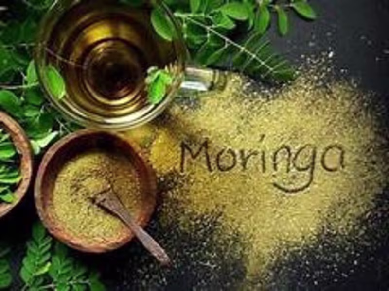 Cover image for https://medium.com/health-science/why-moringa-oleifera-is-ca...