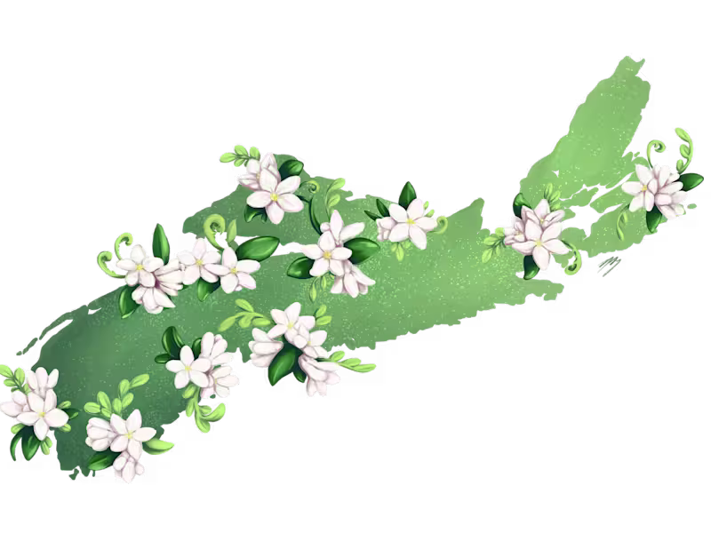 Cover image for NSCCAU Mayflower Card | Print