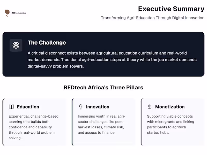 Cover image for Investor-Ready Infographics & Executive Summaries