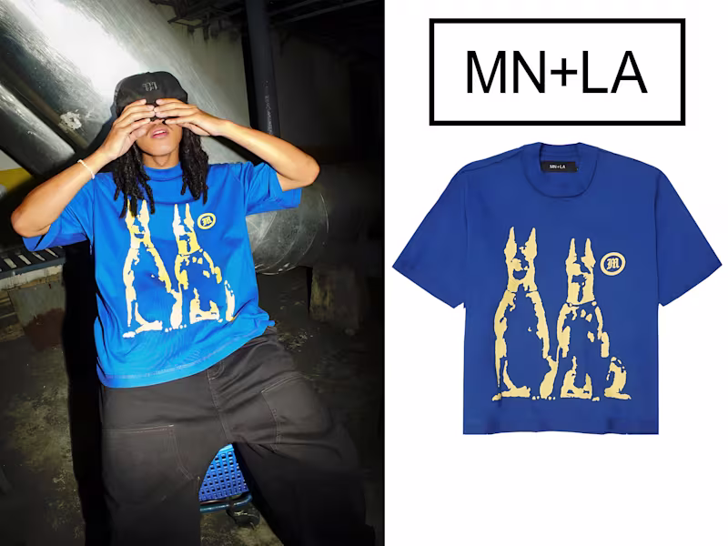 Cover image for Visual Concept Design for MN + LA