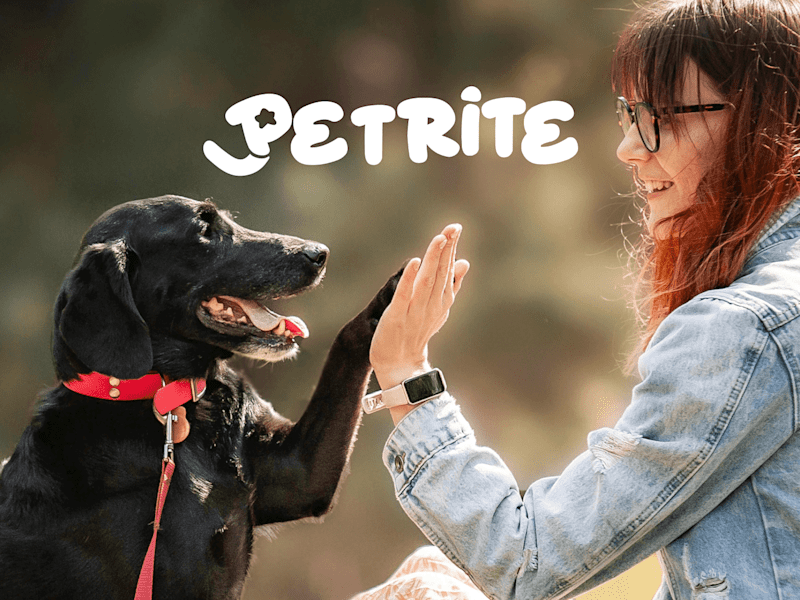 Cover image for Petrite's Brand Identity Design and Guidelines