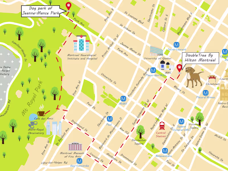 Cover image for Travel Map Illustration