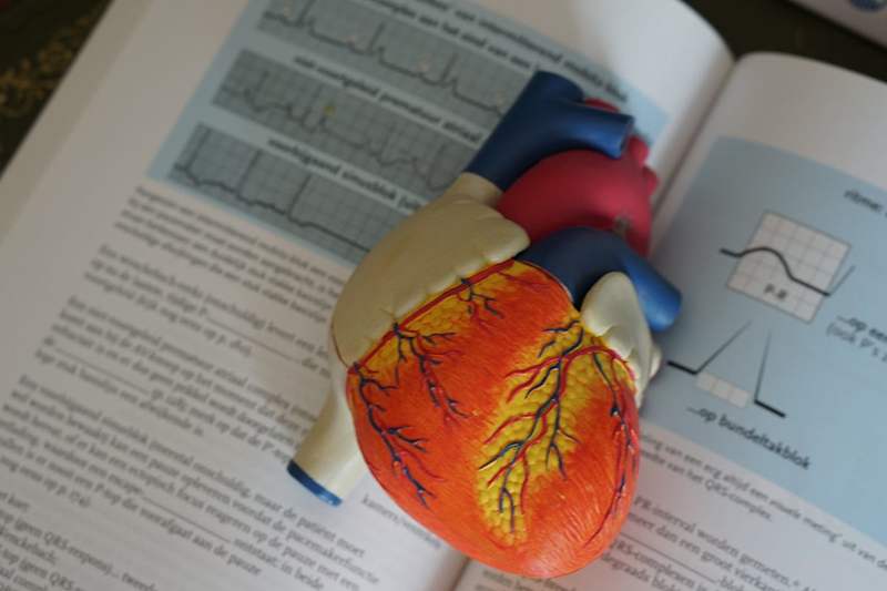 Cover image for A Man with a Rare Heart Infection and Its Effects on His Body