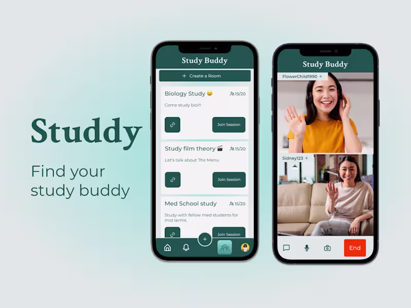 Cover image for Studdy
