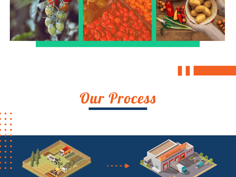 Cover image for Bhavani Agro Export Website