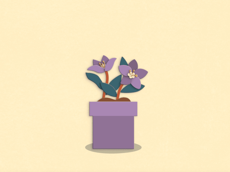 Cover image for Motion Graphics for Social Media (Advertising) Needs