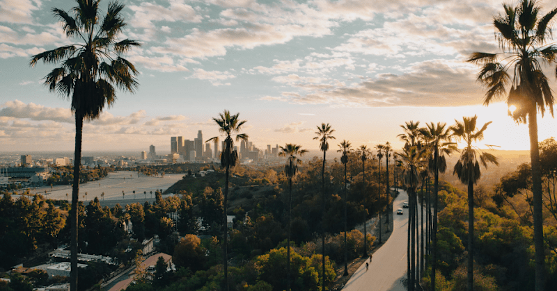 Cover image for Trialing the First Low Emission Zone in the US