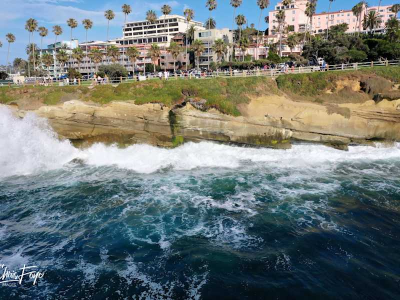 Cover image for Playful shot of seagulls in San Diego using my drone.