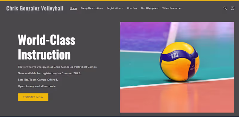 Cover image for Chris Gonzalez' volleyball website, no longer active but it ...