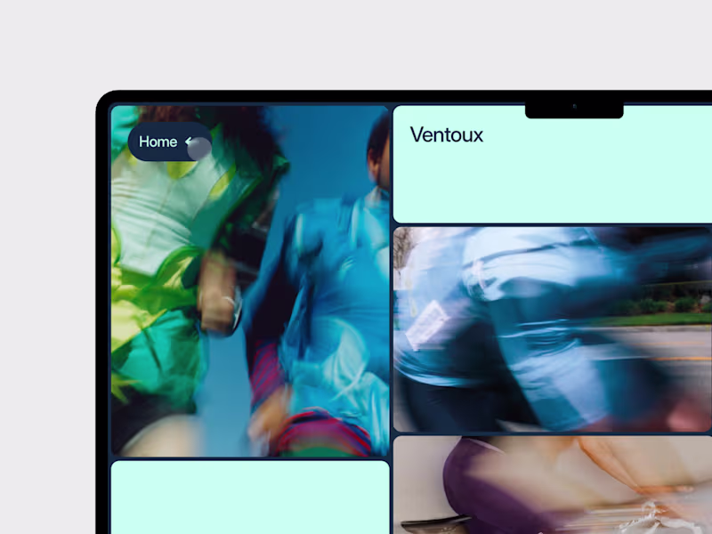 Cover image for No-Code CMS Websites